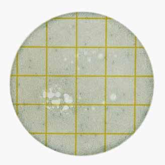 Interference from food products 3M Petrifilm s have been evaluated using samples from many, but not all foods.