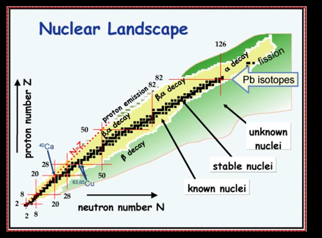 - weak nuclear force. In order to explain instability of radioactive nuclei we just focus on two of them.