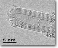 TEM images Multi-walled Carbon Nanotube http://www.ceo.msu.