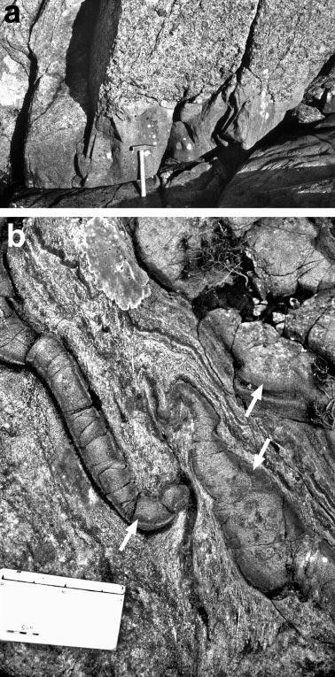 244 M. KRABBENDAM, A. WAIN & T. B. ANDERSEN Figure 6. Field photographs. (a) Poorly deformed megacrystic gneiss (top) with mafic dyke, Flatraket Body. The dyke gneiss contact is not deformed.