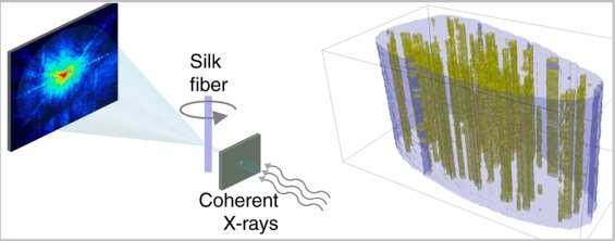 COHERENT DIFFRACTION IMAGING Figure. Sketch of coherent X-ray scattering (left) and reconstructed 3D image of a silk fibre (right). Adapted from Esmaeili et al, Macromolecules 2013.