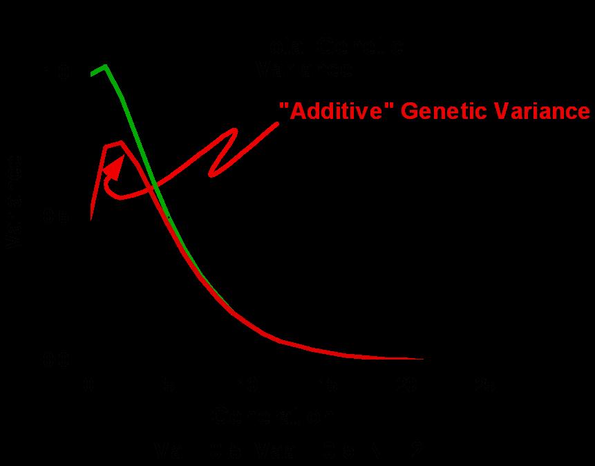 Wright was correct that Genetic Drift