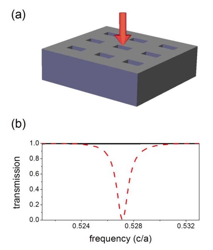 Fig. 4. (a) Photonic crystal slab structure with rectangular air holes for generating anisotropic spectral response.