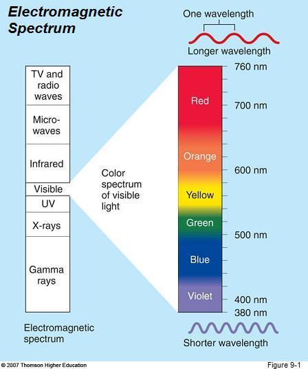 A prism can sort white light into its component colors by bending light of different wavelengths at