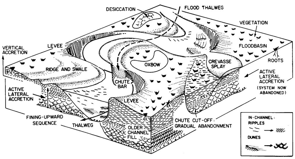 Meandering river Summary of nomenclature POINT BAR SUBAQUEOUS DUNES CUT BANK