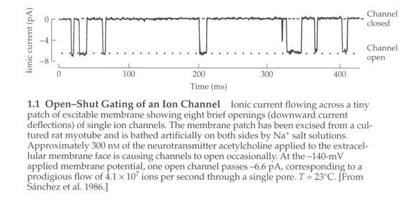 Ion channels are FAST!
