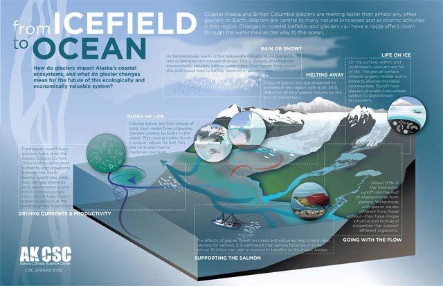 NSF: Annual Visualization Challenge From icefield to