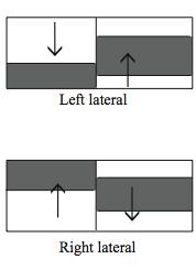 A fault which incurs no vertical displacement is called a strike-slip fault. The movement of the beds is parallel with the strike of the fault plane.
