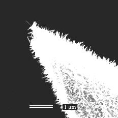 (a) Single carbon nanotube protruding along the tip axis at the end of the tip that was used for this study.