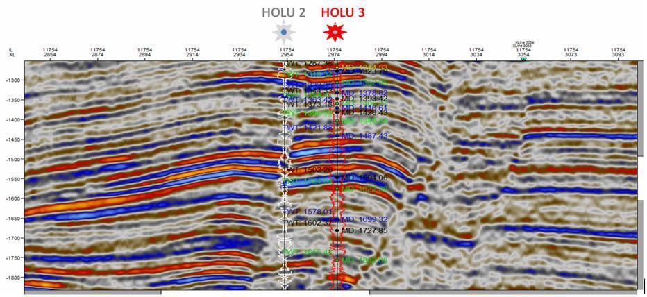 holu 1 and 3 Figure 6: seismic-well tie