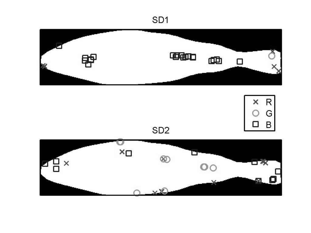 Figure 4: On the left, the projection of the fish data onto the first and second SDA discriminant vectors. On the right, the selected texture features are displayed on the fish mask.