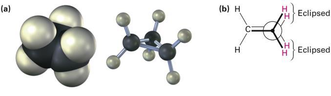 CONFORMATIONS OF CYCLOPROPANE 3-membered ring must have planar structure Symmetrical with C C C