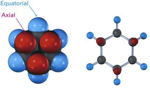 AXIAL AND EQUITORIAL POSITIONS Each carbon atom in cyclohexane has one axial and one equatorial