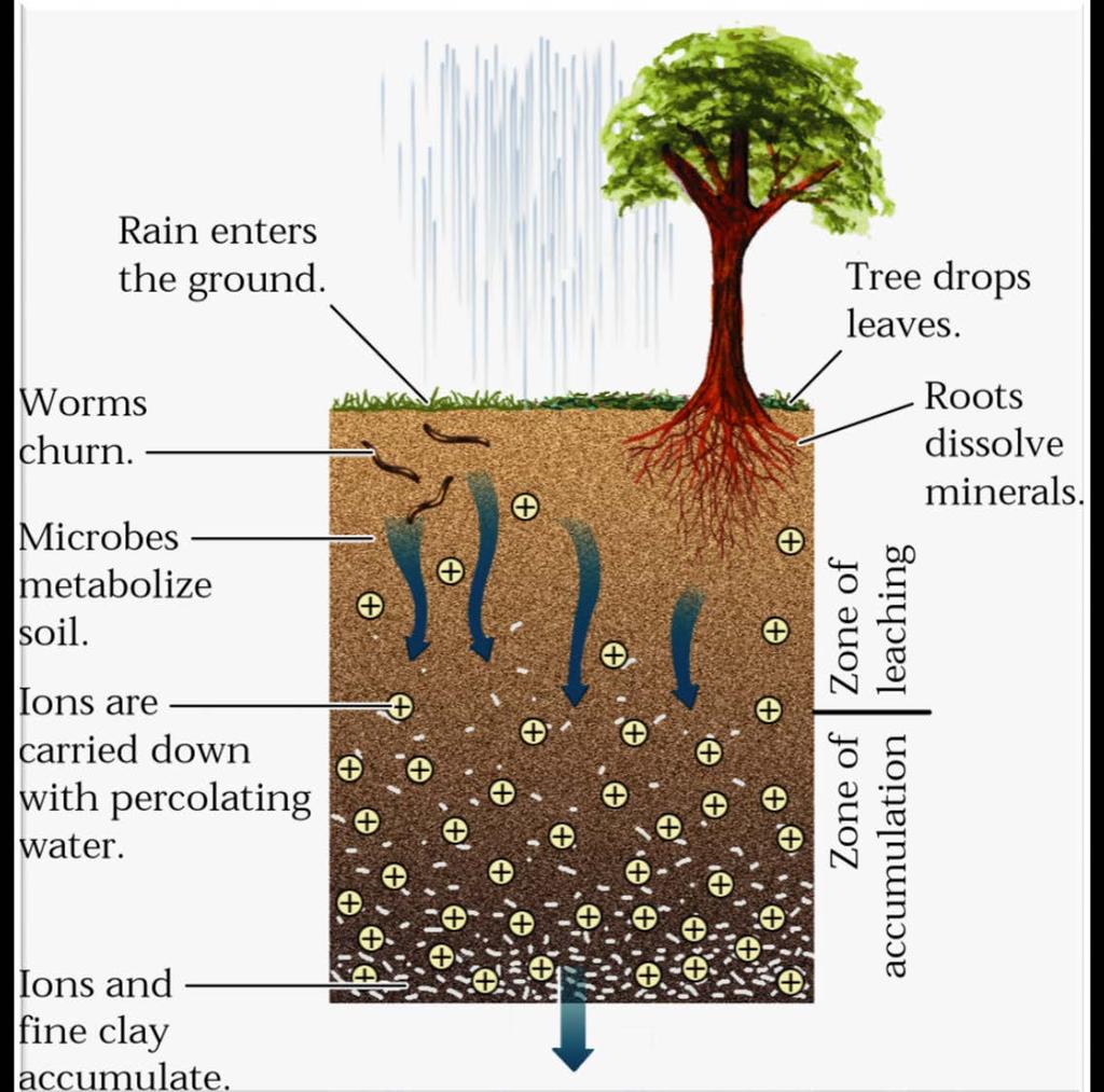 Soils Fig. 7.