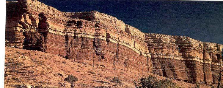 Chemical Sedimentary Rocks Limestone 10% of all sedimentary rocks (by volume) Most abundant chemical sedimentary rock Composed primarily