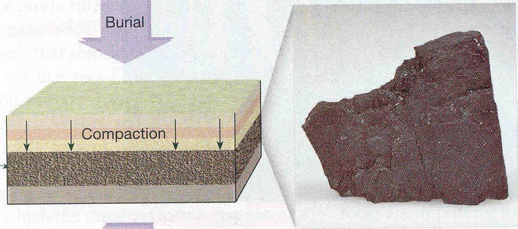 Rocks Coal Made