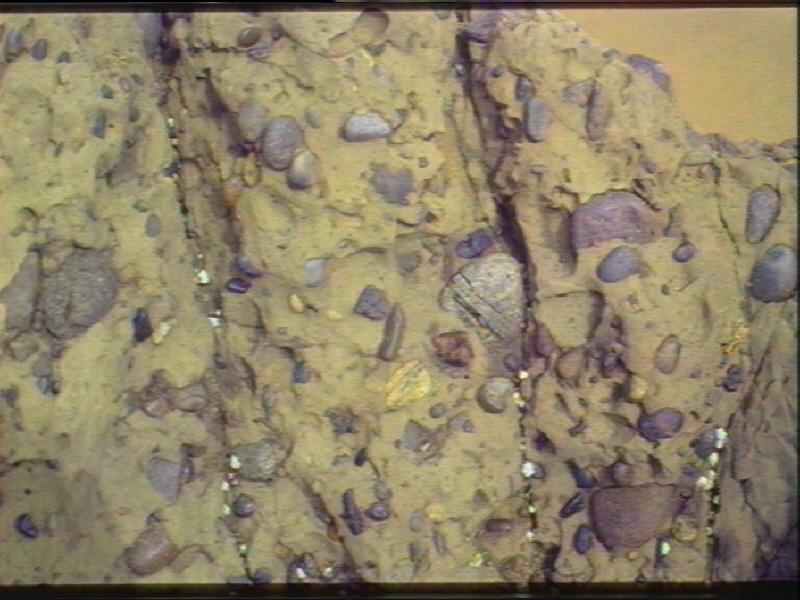 Clasts of many different types