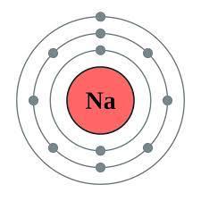 Sodium Let s do the Bohr Model
