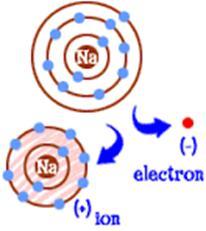 Ionic Bonds Loss and Gain By removing one electron, sodium becomes stable and