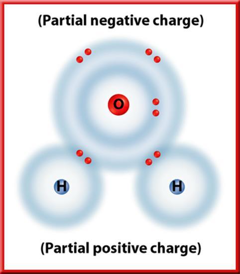 EX: Water polar molecule In a water molecule, the electrons spend more time around the oxygen atom.