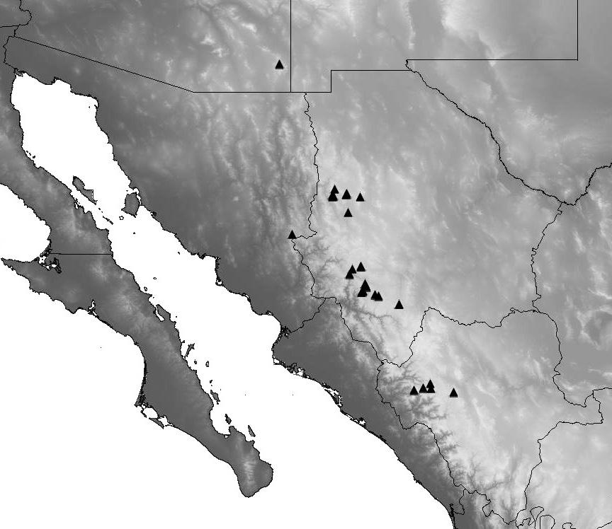 A new species of tiger beetle from southeastern Arizona and Mexico... 45 Figure 11. Distribution map of the known localities for Cicindelidia melissa.