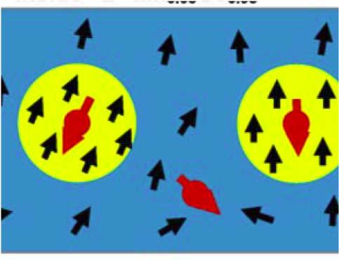 Polarons in condensed matter physics Magnetic polarons: Electrons dressed in magnetic