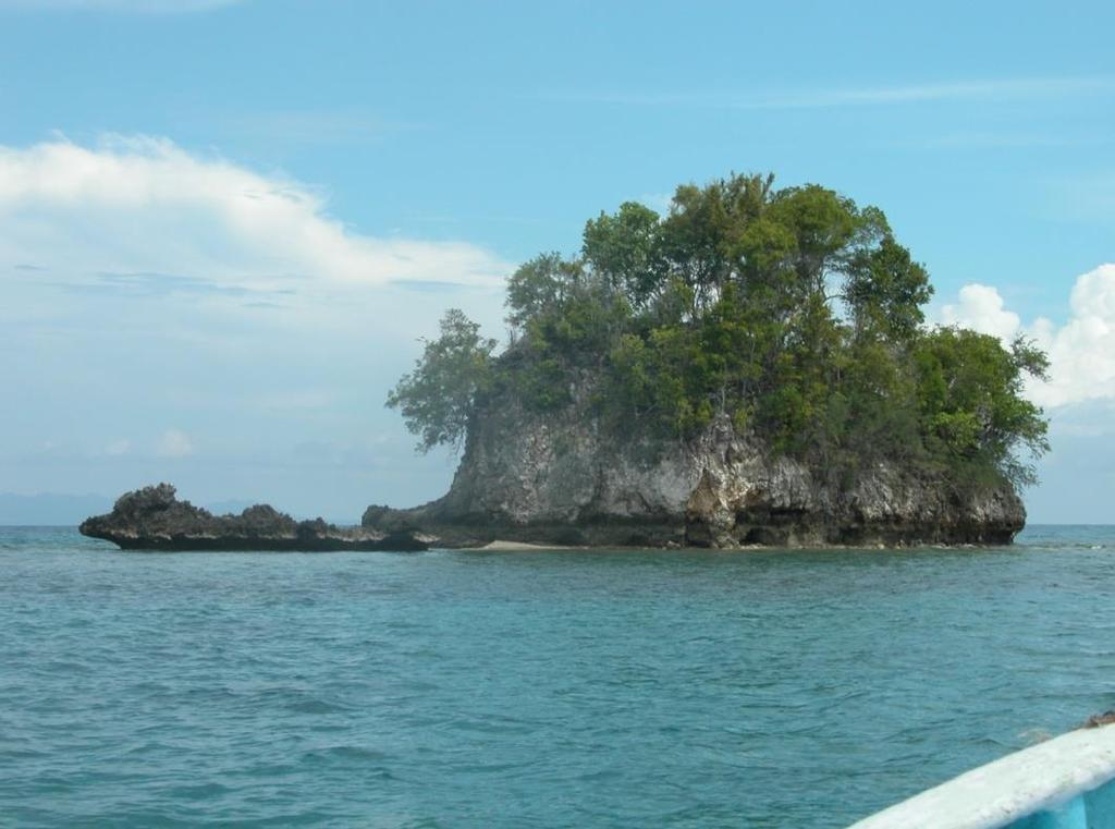 Island of Indonesia Impodi Kecil
