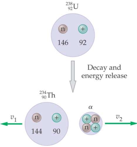 32-2 Radioactivity When a nucleus decays by emitting an alpha particle, it loses two