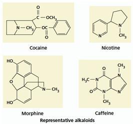 Production of primary and secondary metabolites Figure 2.22 Examples of alkaloids, a diverse group of secondary metabolites that contain nitrogen (source: Taiz L., Zeiger E.