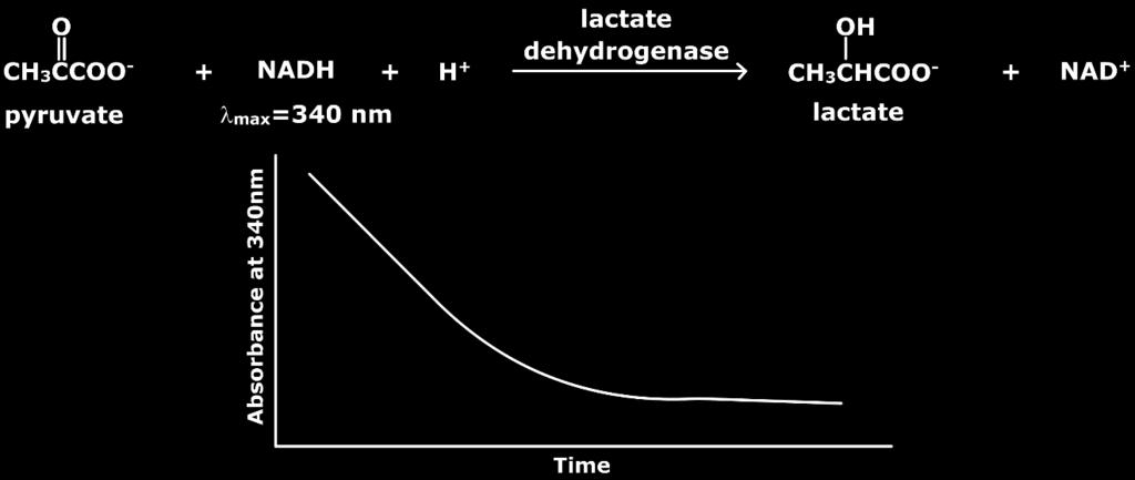 Similarly, the enzyme lactate dehydrogenase catalyses the reduction of pyruvate by NADH to form lactate.