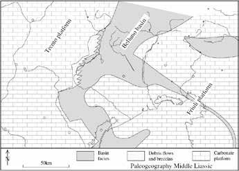 The tectonic evolution of the Friuli Alps (NE Italy) in the context of the Alpine-Dinaridic orogenic system 7 According to Schmid et al.