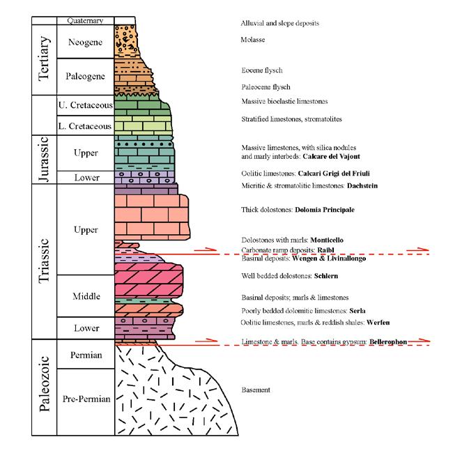 The tectonic evolution of the Friuli Alps (NE Italy) in the context of the Alpine-Dinaridic orogenic system 9 Due to erosion, an uneven distribution because of rifting, or both, the Cretaceous