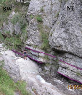 The tectonic evolution of the Friuli Alps (NE Italy) in the context of the Alpine-Dinaridic oroge