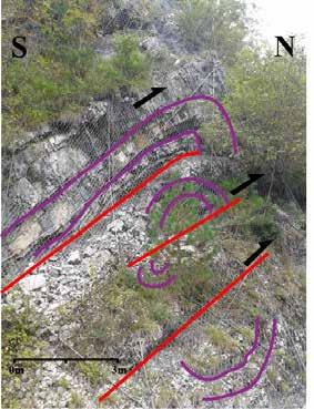 The tectonic evolution of the Friuli Alps (NE Italy) in the context of the Alpine-Dinaridic orogenic system 21 a Figure 22.