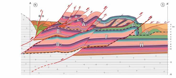 The tectonic evolution of the Friuli Alps (NE Italy) in the context of the Alpine-Dinaridic orogenic system 40 deformation phases.