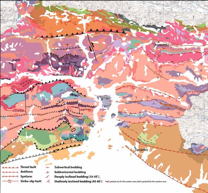 The tectonic evolution of the Friuli Alps (NE