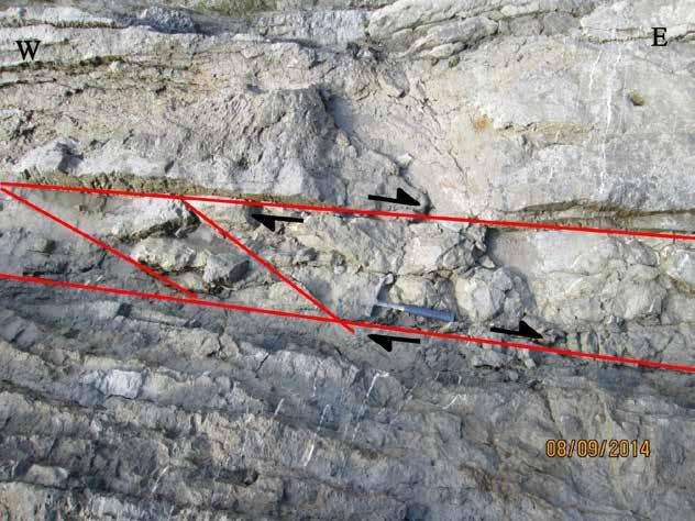 1.6c. 15m strike-slip fault with 2 riedels, indicating dextral