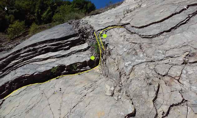 2.3c. In green: fold axis that could have caused the wavy surface of the outcrop. A shearing component to the south must have been present in order to get the asymmetrical shape.