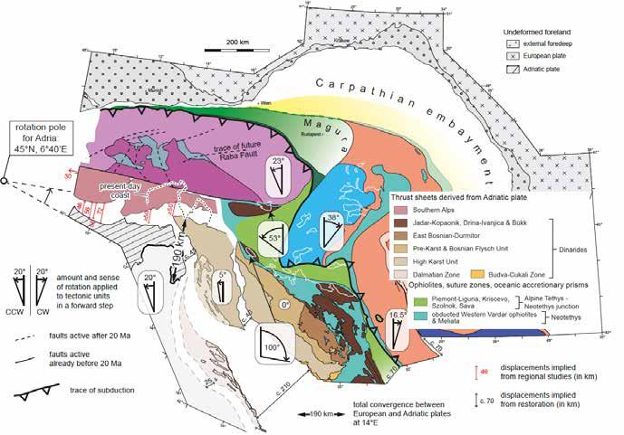 The tectonic evolution of the Friuli Alps (NE Italy) in the context of the Alpine-Dinaridic orogenic system 6 intracrustal and crust mantle decoupling during the Alpine collision.