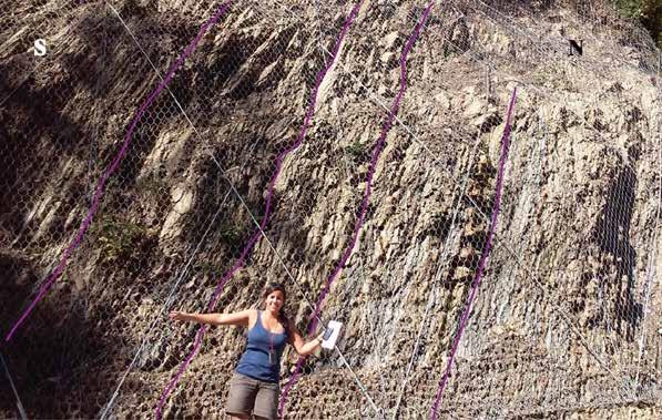 Depositional environment: Formation according to map: Flysch: basinal Transition zone between Cretaceous limestones (17a) and flysch (19b) Measurements: Planar structures: S0: 165/59 Fault: P: 172/50