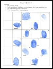 Patterns and Fingerprints Students find patterns in classmate s fingerprints Students match