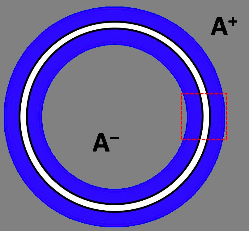 (a) (b) Figure 3: (Colour online) In both figures, the shaded areas represent regions on both sides of the boundaries where the correlations between A + and A contributing to the mutual information