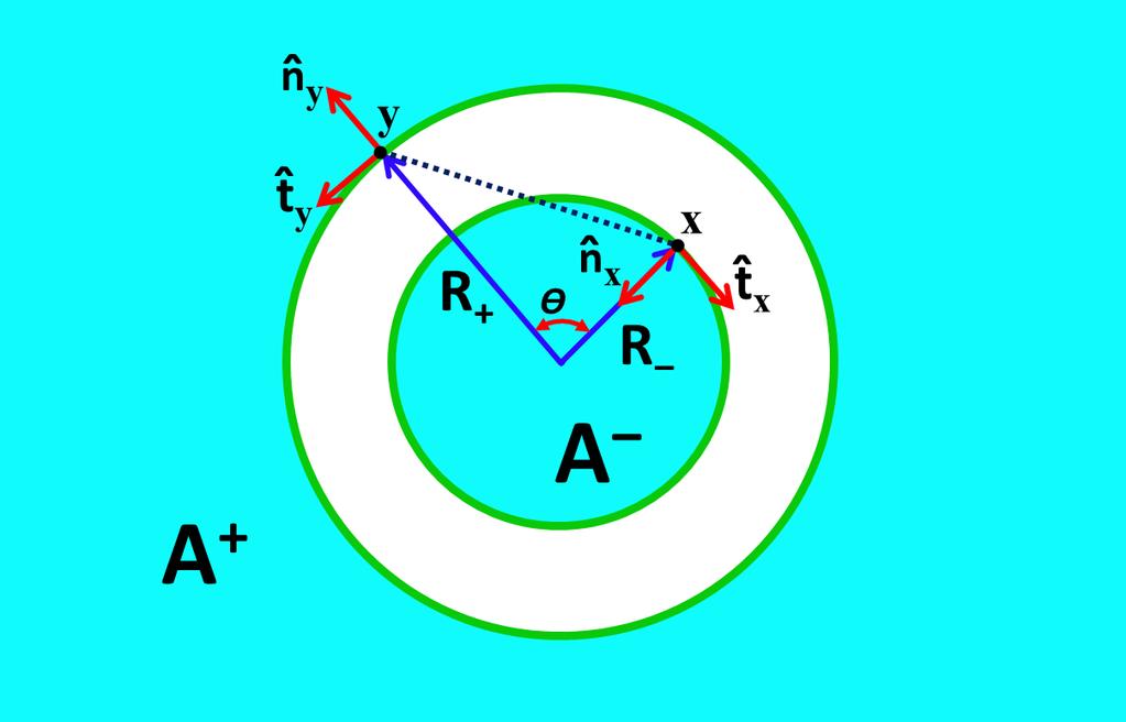 Figure 12: (Colour online) Mutual information in the extensive model is given directly by a double integral of a certain function over the points x and y on the boundaries of the regions A+ and A.