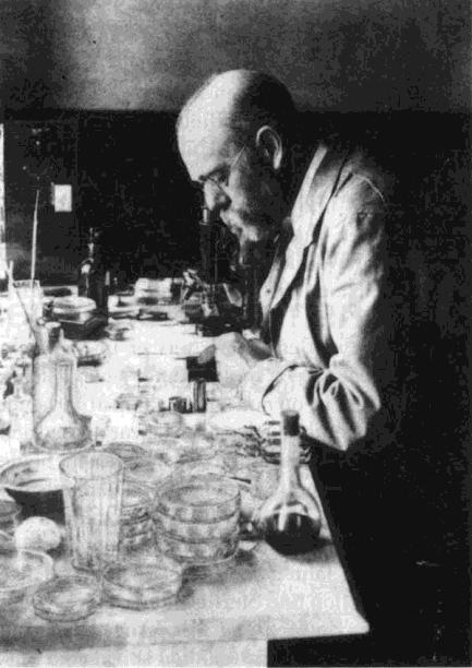 He developed methods for culturing bacteria on solid media. 4.