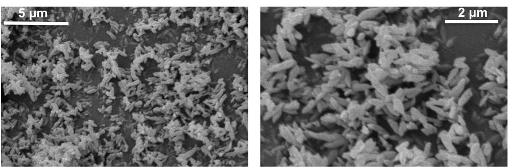 2.- Experimental results 2.1.- NH 2 -MIL-53(Al) synthesis Figure S-1 shows SEM micrographs of the NH 2 -MIL-53(Al) synthesized under microwave irradiation. Homogeneous elongated particles of 0.