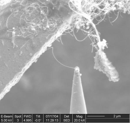 probe PZT actuator Feedthroughs SEM images of the manipulation of carbon nanotubes