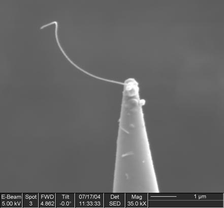 (A) Manipulator probe is approaching a protruding nanotube.