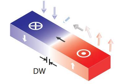 Spin Transfer Torque Induced Domain Wall Motion Multi-domain magnets consists of a domain wall (DW) separating regions with opposite