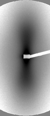 Small-angle X-ray scattering Shoulder at q = 0.