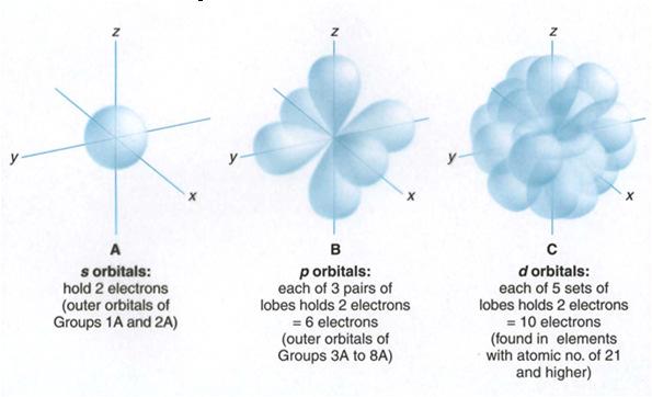 s, p, and d-orbitals Electron Configurations A s orbitals: Hold 2 electrons (outer orbitals of Groups 1 and 2) B p orbitals: Each of 3 pairs of lobes holds 2 electrons = 6 electrons (outer orbitals